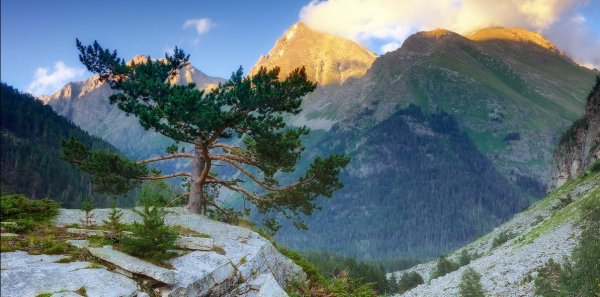 Ландшафт Северного Кавказа