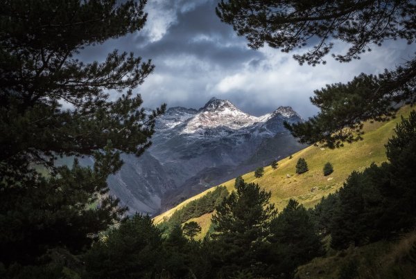 Северный Кавказ