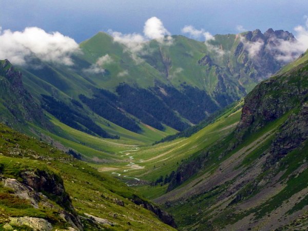 Природа горы Кавказа