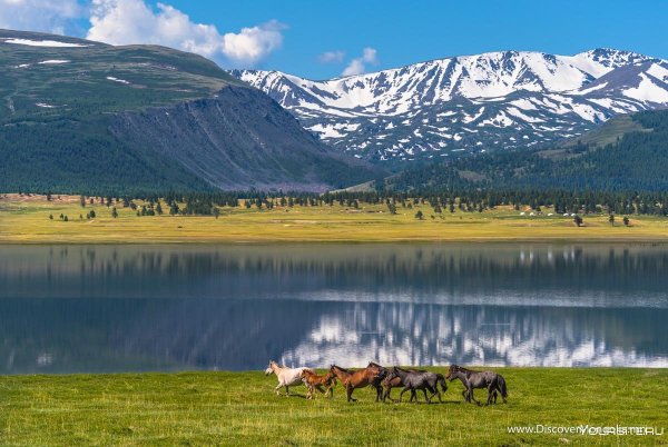 Цэнгэл Монголия