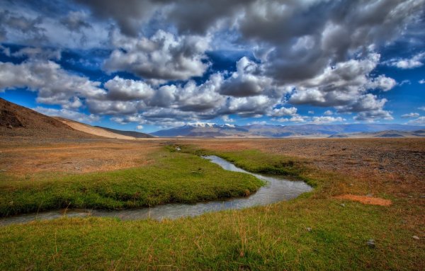 Равнины Монголии