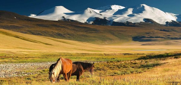 Ховда Монголия природа