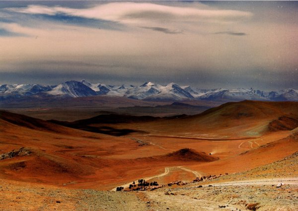 Badrah Монголия