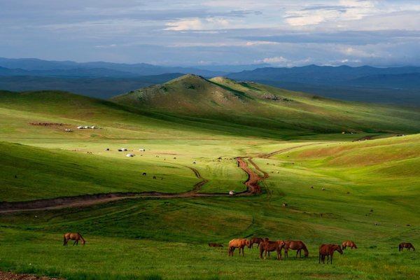 Зуунэхараа Монголия