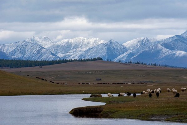Национальный парк Тарбагатай Монголия