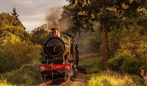 Поезд в лесу