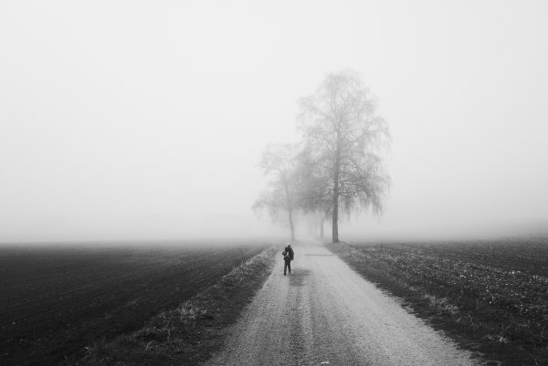 Одиночество в тумане