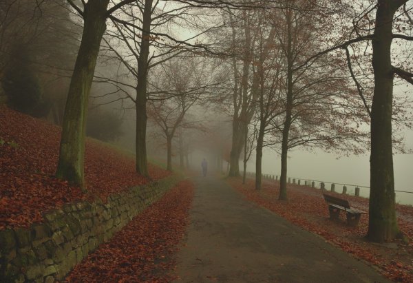 Элизабет Гэдд фотограф