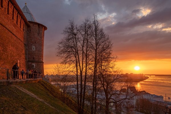 Алексей Сычев художник Нижний Новгород картины
