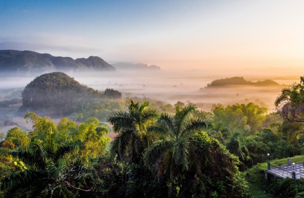 Джунгли Кубы