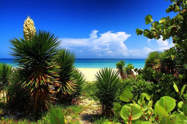 Куба провинция Гавана природа