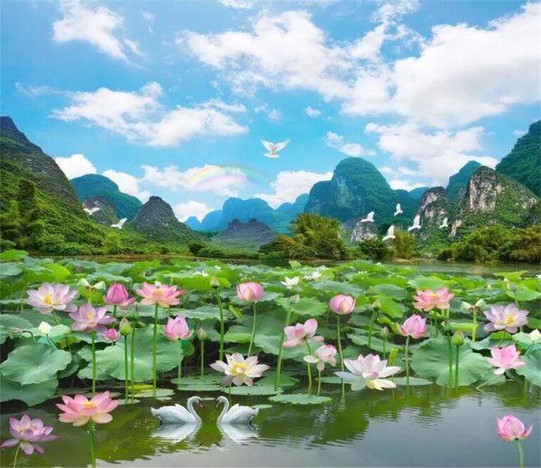 Пейзаж озеро Лотосы