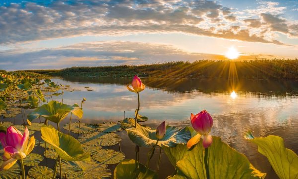 Фёдор Лашков Дельта Волги