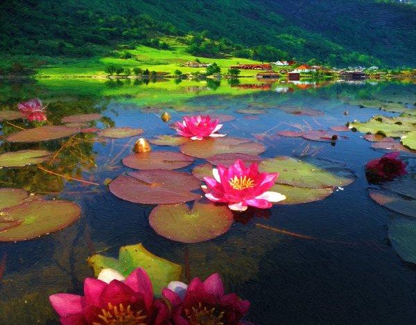 Пейзаж Лотос на пруду