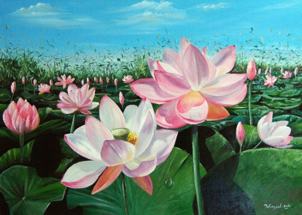 Красивые Лотосы живопись
