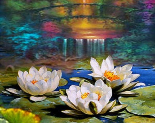 Дмитрий Спирос водяные лилии