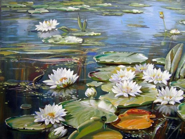 Живопись кувшинки Сахаров