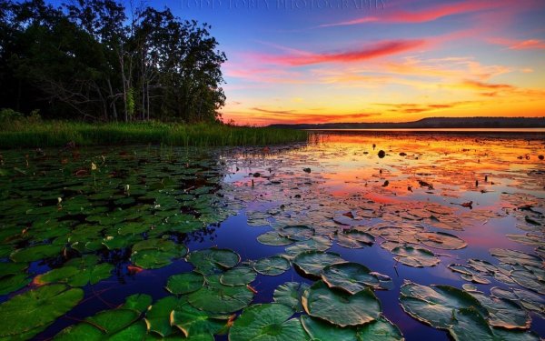 Кувшинковое озеро