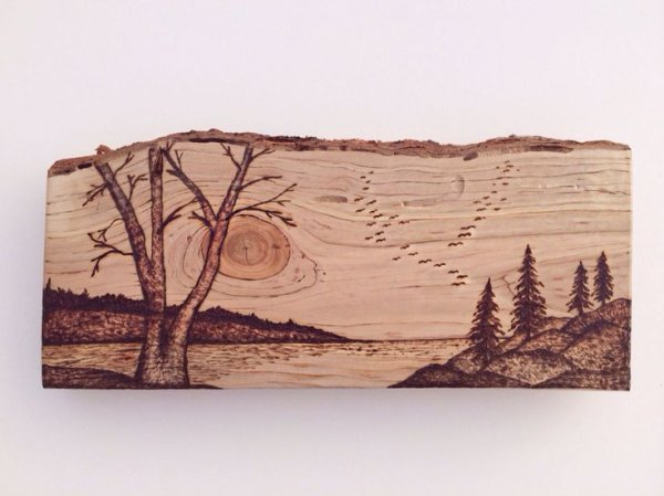 Выжигание по дереву лес