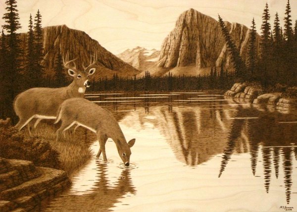 Картины для выжигания лес