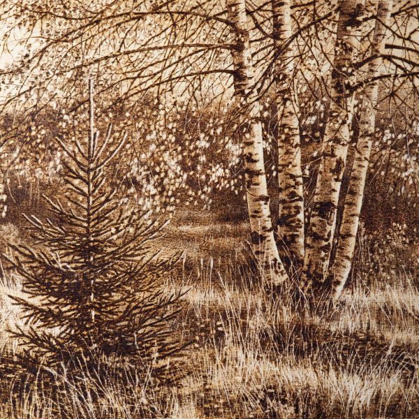 Красивые пейзажи для выжигания по дереву