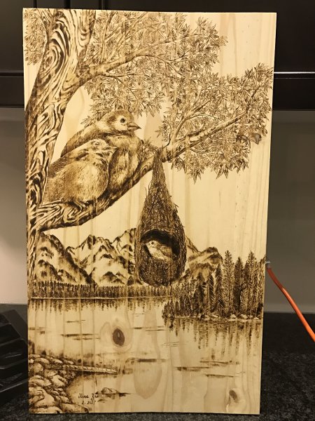 Выжигание по дереву природа