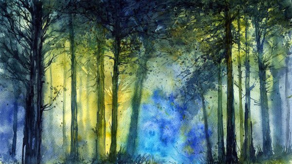 Чеслав Швайкош картины