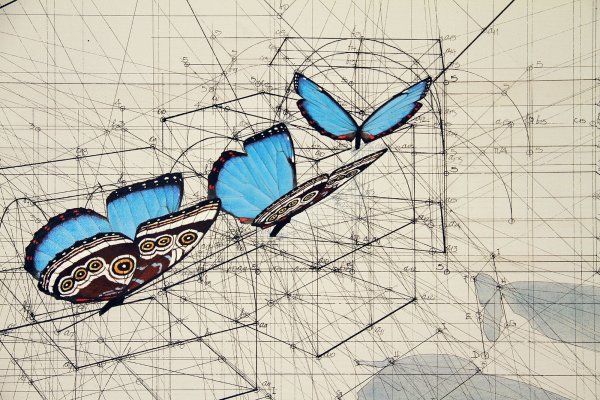 Золотое сечение в Моне Лизе