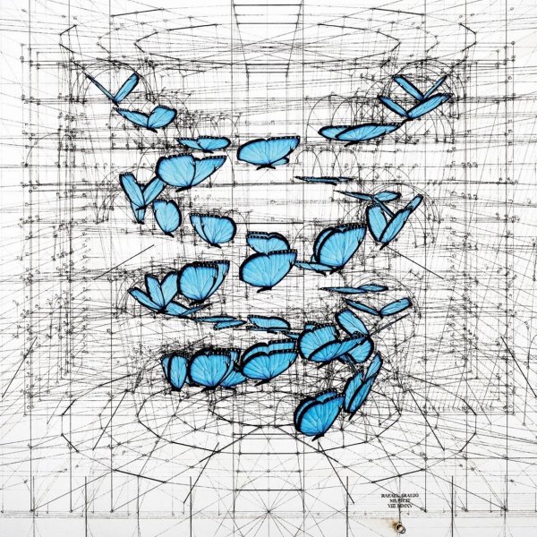 Пропорции в картине Мона Лиза
