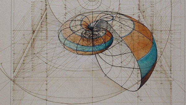 Золотое сечение Леонардо да Винчи