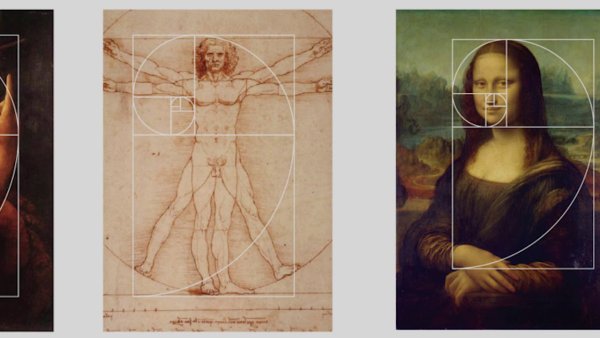 Чертежи Рафаэля Араужо