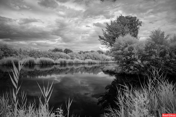 Монохром природа Англии