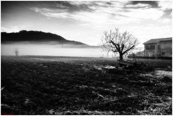 Монохромные изображения природа