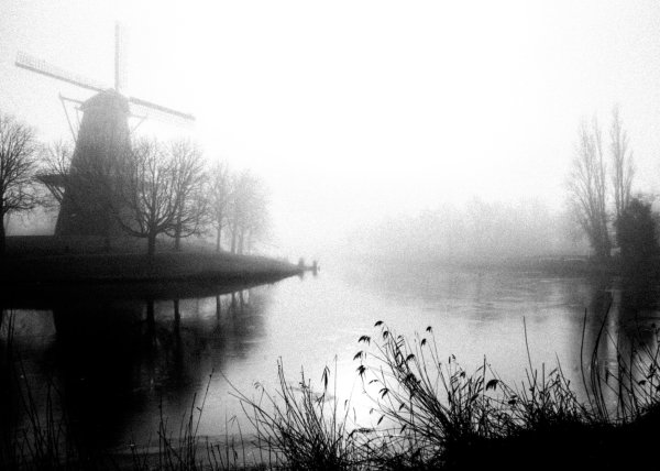 Монохромный пейзаж