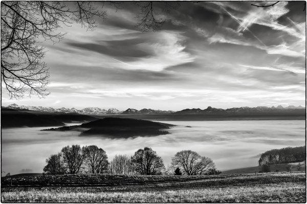 Черно белые картинки природы