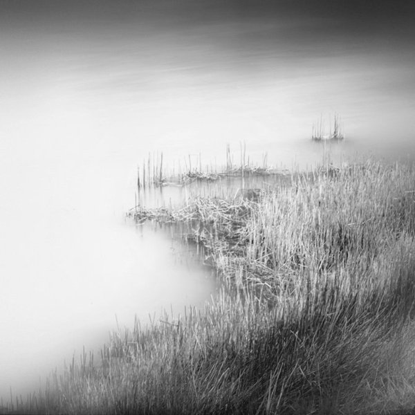 Красивые пейзажи природы черно белые