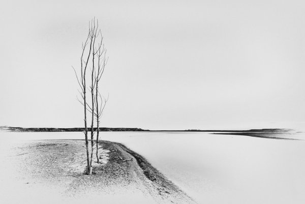 Белый пейзаж