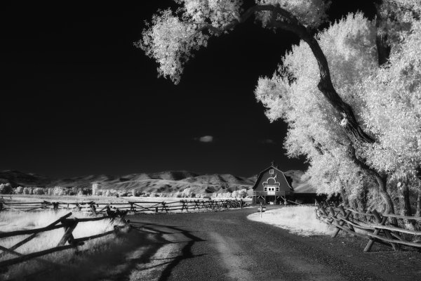 Пейзаж рисунок