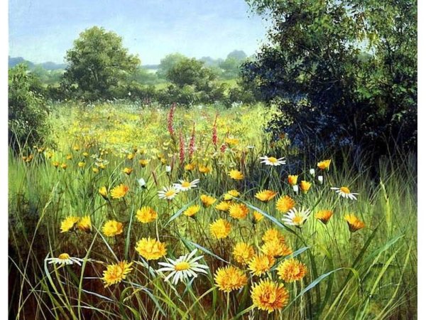 Художник Mary Dipnall