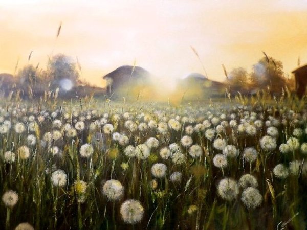 Вячеслав палачев "Одуванчиковое утро"