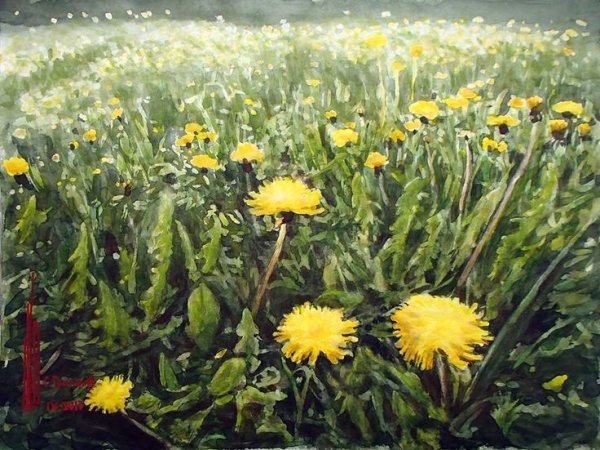 Одуванчиковое поле акварелью