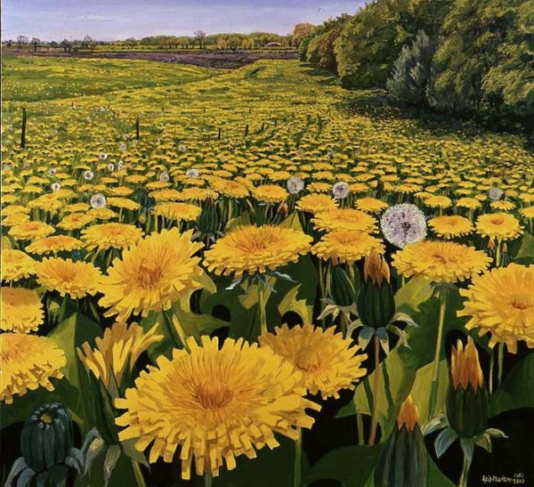 Джеффри Ларсон одуванчики