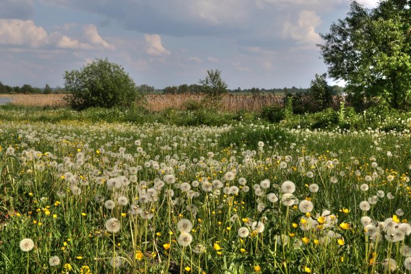 Юпитер 21м пейзаж