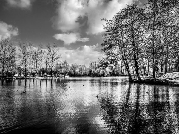 Туман над водой