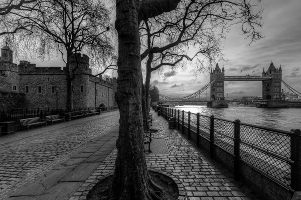 Чёрно-белый пейзаж