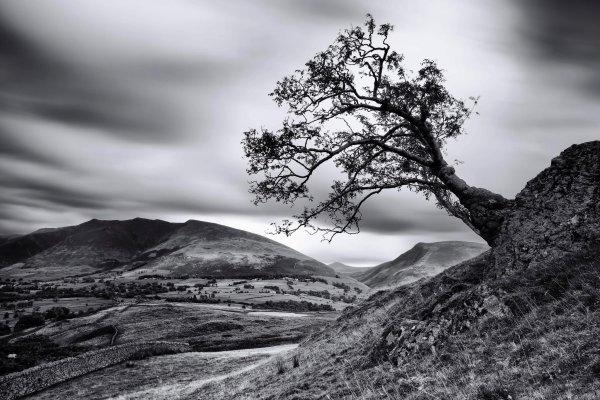 Монохромный горный пейзаж гризайль