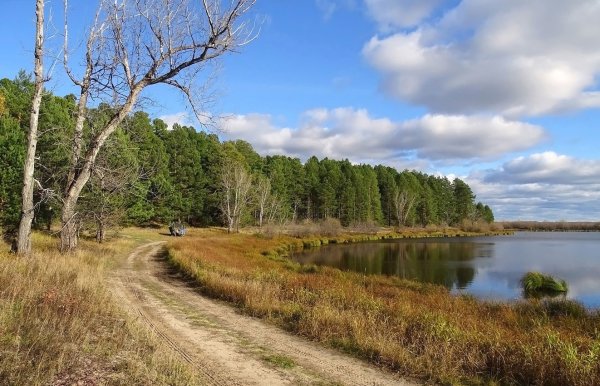 Пейзажи Томска