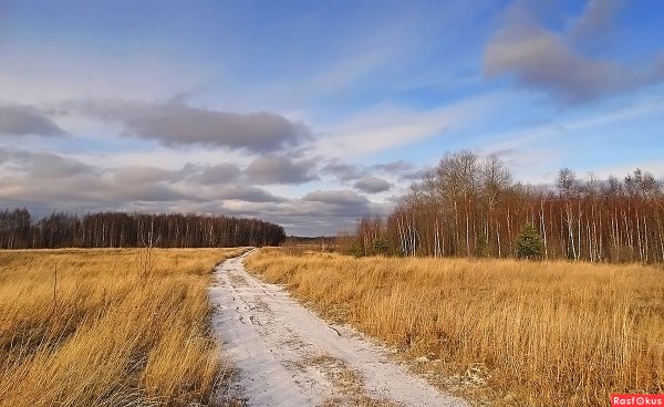 Пейзажи Томской области