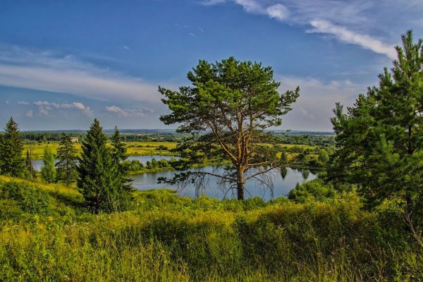 Природа Томской области