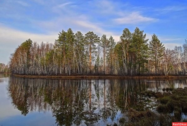 Озеро Лебяжье Томск